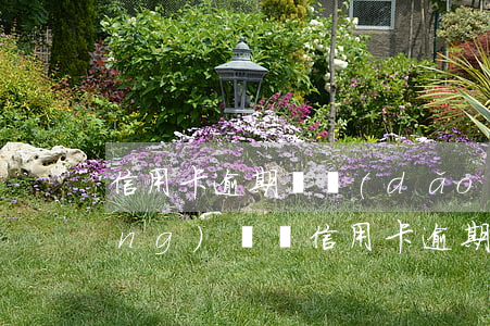 信用卡逾期會導(dǎo)致其他網(wǎng)貸嗎(信用卡逾期會導(dǎo)致其他網(wǎng)貸嗎)