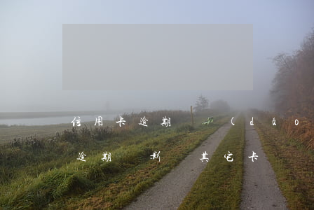 信用卡逾期會導(dǎo)致其它卡(信用卡逾期會影響其它卡嗎)