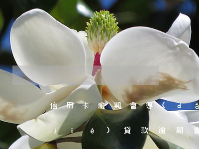 信用卡逾期會導(dǎo)致名下卡凍結(jié)(貸款逾期會凍結(jié)信用卡嗎)