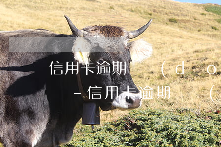 信用卡逾期會導(dǎo)致花唄不能使用嗎-信用卡逾期會導(dǎo)致花唄不能使用嗎怎么辦
