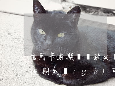 信用卡逾期會導致失業(yè)嗎(欠信用卡逾期失業(yè)可以辦失業(yè)金嗎)