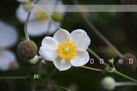 信用卡逾期會帶來哪些煩惱(為什么信用卡逾期)