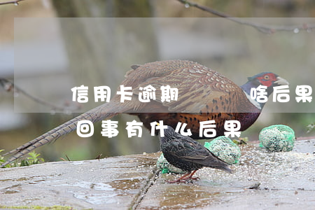 信用卡逾期會帶來啥后果(信用卡逾期是怎么回事有什么后果)