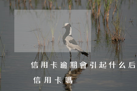 信用卡逾期會引起什么后果(逾期會影響別的信用卡嗎)