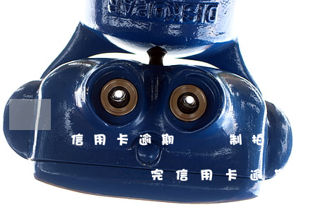 信用卡逾期會強制拍賣房產(chǎn)(房貸沒還完信用卡逾期,可以拍賣房子嗎)
