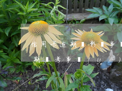 信用卡逾期會影響事業(yè)編嗎(征信逾期對考事業(yè)單位有影響嗎)