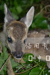 信用卡逾期會影響京東嘛(京東白條有過逾期 對申請信用卡有影響嗎)