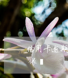 信用卡逾期會影響保險退保嗎(保險逾期能退保嗎)