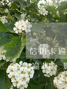 信用卡逾期會影響儲蓄卡里的錢嗎-信用卡逾期會影響儲蓄卡里的錢嗎知乎