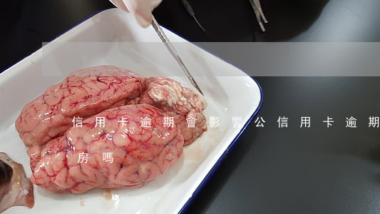 信用卡逾期會影響公(信用卡逾期會影響公租房嗎)
