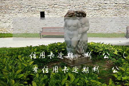 信用卡逾期會影響公務(wù)員錄取嗎-有信用卡逾期影響公務(wù)員政審嗎