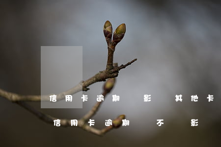 信用卡逾期會影響其他卡使用嗎(有一家銀行信用卡逾期會不會影響其它信用卡)