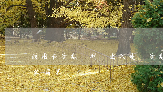 信用卡逾期會影響出入境嗎(逾期出境會有什么后果)