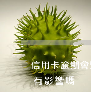 信用卡逾期會影響出國工作嗎(征信逾期出國有影響嗎?)