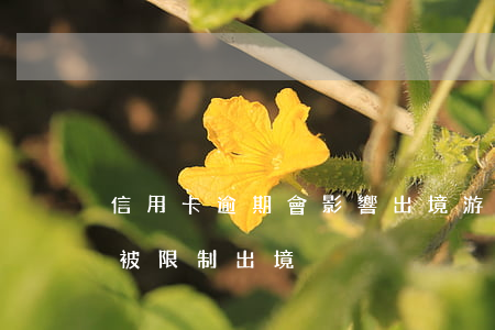 信用卡逾期會影響出境游(信用卡逾期多久會被限制出境)