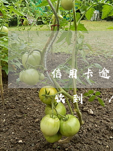 信用卡逾期會影響到其他結(jié)款嗎 收到別人的信用卡逾期為什么