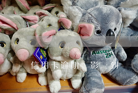 信用卡逾期會影響到駕駛證嗎