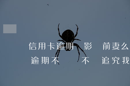 信用卡逾期會影響前妻么 離婚后前夫信用卡逾期不還會不會追究我