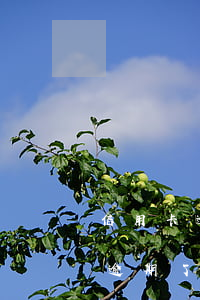 信用卡逾期會影響名下銀行嗎? 辦信用卡如果逾期了對銀行卡有影響嗎