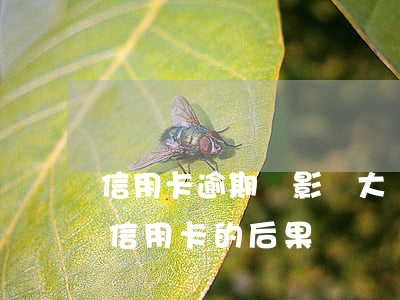 信用卡逾期會影響大學生嗎(大學生過度使用信用卡的后果)
