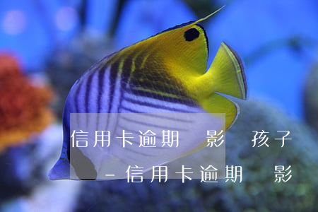 信用卡逾期會影響孩子當(dāng)老師嗎-信用卡逾期會影響孩子當(dāng)老師嗎知乎