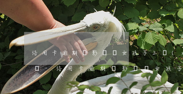 信用卡逾期會影響孫女孩子上學(xué)嗎-信用卡逾期會影響孫女孩子上學(xué)嗎知乎