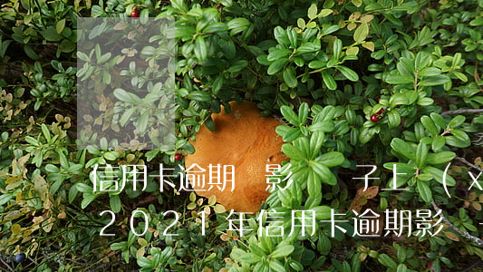 信用卡逾期會影響孫子上學(xué)嗎-2021年信用卡逾期影響子女嗎