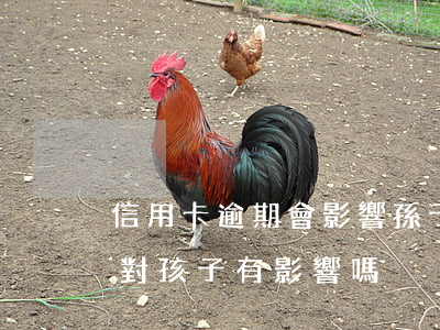 信用卡逾期會影響孫子嗎(老公信用卡逾期會對孩子有影響嗎)