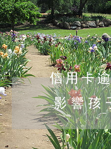 信用卡逾期會影響小孩以后上學嗎(有逾期會影響孩子上學嗎)