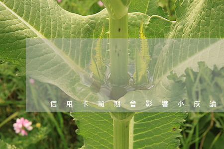 信用卡逾期會影響小孩讀幼兒園嗎