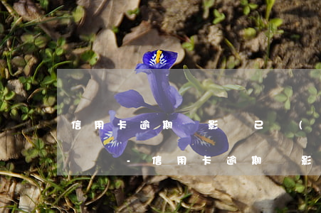 信用卡逾期會影響已經(jīng)有的房貸嗎-信用卡逾期會影響已經(jīng)有的房貸嗎