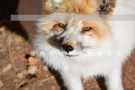 信用卡逾期會影響征信分嗎(別的逾期會影響信用卡嗎)