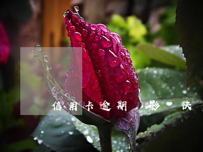 信用卡逾期會影響快貸嗎