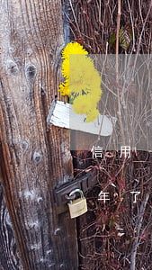 信用卡逾期會影響愛人賣房(欠信用卡逾期3年了,對于賣房子會有影響嗎)