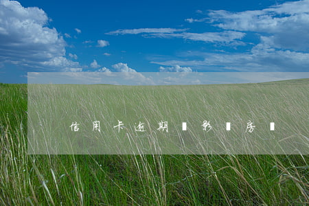 信用卡逾期會影響房貸