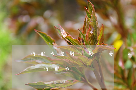 信用卡逾期會影響房貸么(房貸逾期會不會影響信用卡)