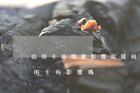 信用卡逾期會影響房貸利息嗎(房貸逾期對信用卡有影響嗎)