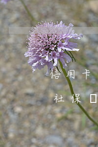 信用卡逾期會影響拿社保嗎(欠信用卡會影響社保嗎)