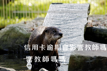 信用卡逾期會影響教師嗎-信用卡逾期會影響教師嗎嗎