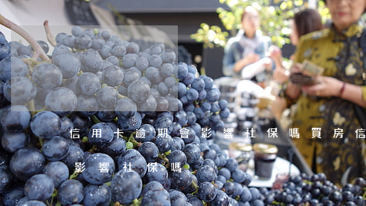 信用卡逾期會影響社保嗎買房（信用卡逾期會影響社保嗎）