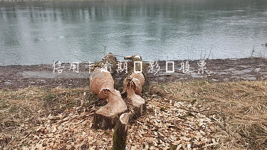 信用卡逾期會影響股票
