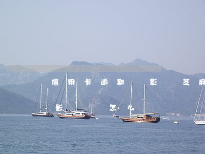 信用卡逾期會影響芝麻信用分嗎(芝麻信用分影響會怎么樣)