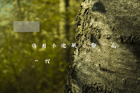 信用卡逾期會影響花唄媽媽(欠信用卡影響下一代嗎)
