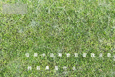 信用卡逾期會影響誰(貸款逾期與信用卡逾期的后果是什么)