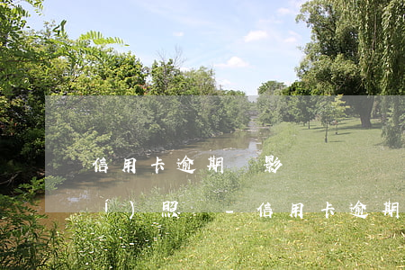 信用卡逾期會影響辦營業(yè)執(zhí)照嗎-信用卡逾期會影響辦營業(yè)執(zhí)照嗎知乎