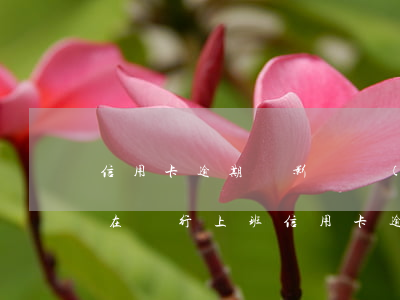 信用卡逾期會影響進(jìn)銀行工作嗎(在銀行上班信用卡逾期會影響工作嗎)
