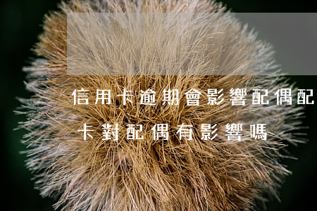 信用卡逾期會影響配偶(配偶惡意逾期還信用卡,對配偶有影響嗎)