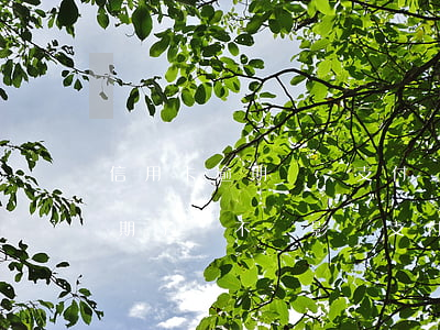 信用卡逾期會從支付寶里扣錢嗎(我信用卡逾期了會不會影響支付寶的使用)