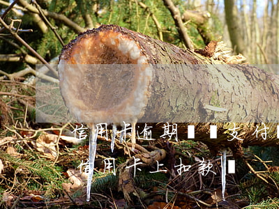 信用卡逾期會從支付寶里扣除嗎(支付寶會在信用卡上扣款嗎)