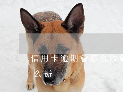 信用卡逾期會怎么收錢-我信用卡逾期了怎么辦